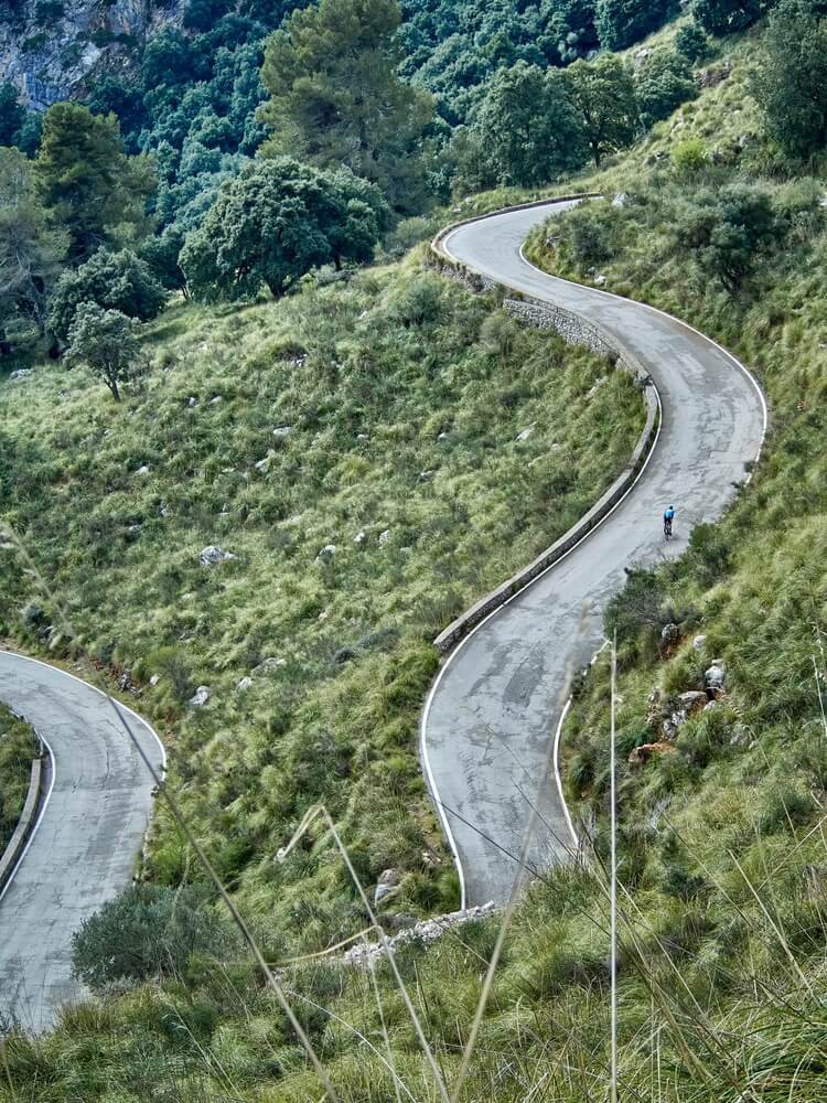 Serra de Tramuntana: Bird’s eye view of the winding road surrounded by trees