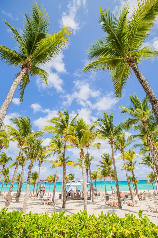 Palm trees line a white sand beach in Cancún.