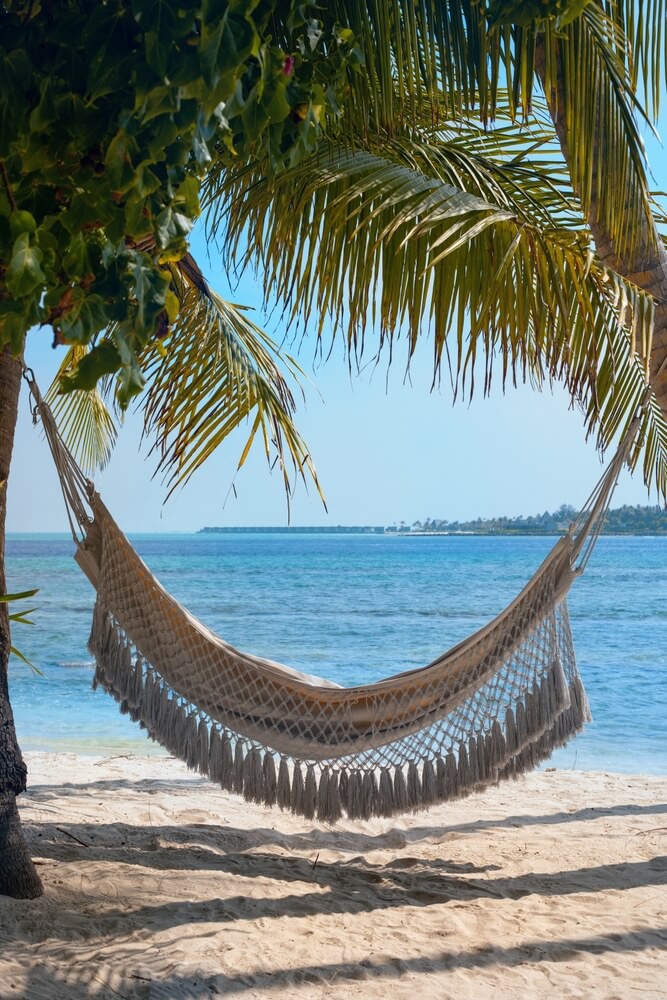 Maldives Sandbanks: A white hammock hanging between palm trees on the beach