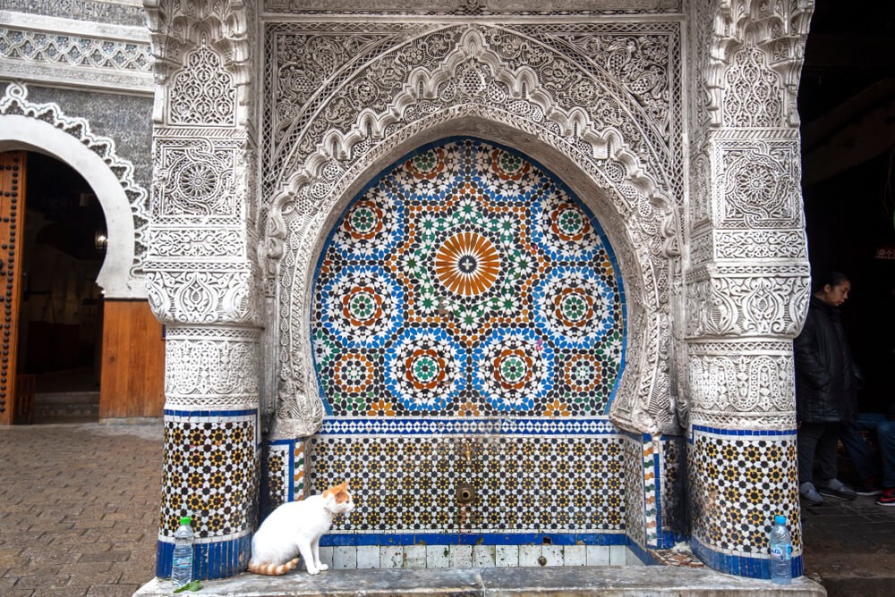 Nejjarine Fountain: A cat sat on a stone bench with a colourful mosaic behind