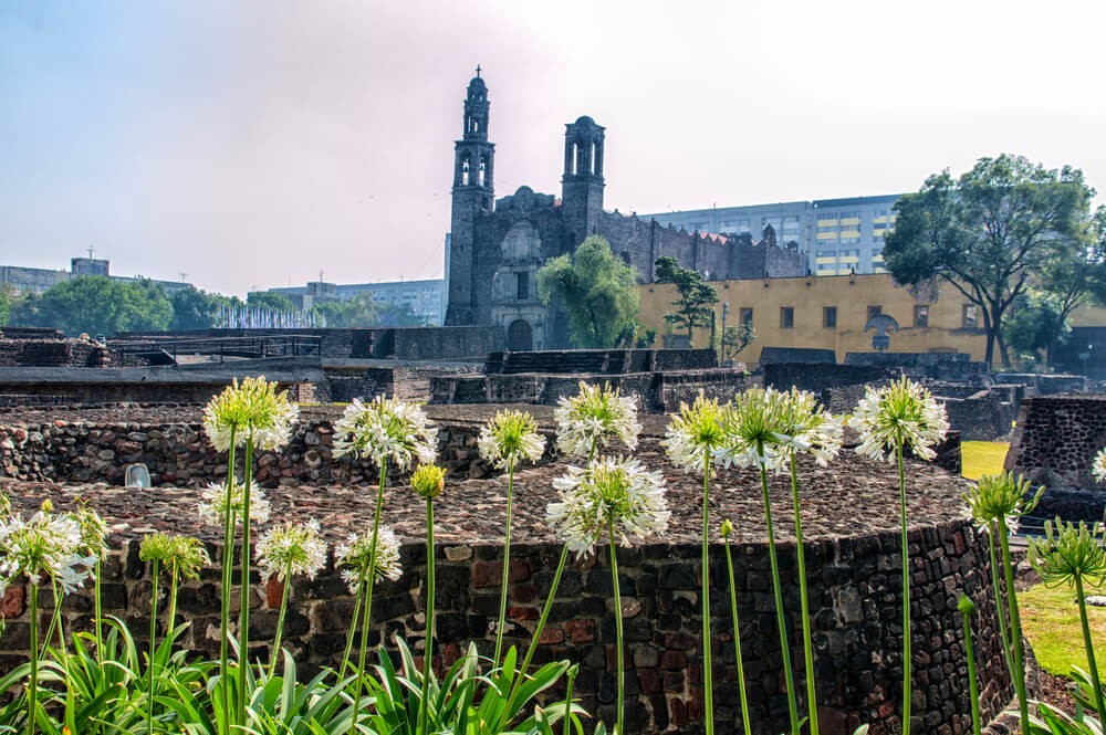 An image of Mexico City’s Plaza de las Tres Culturas with flowers in the foreground.