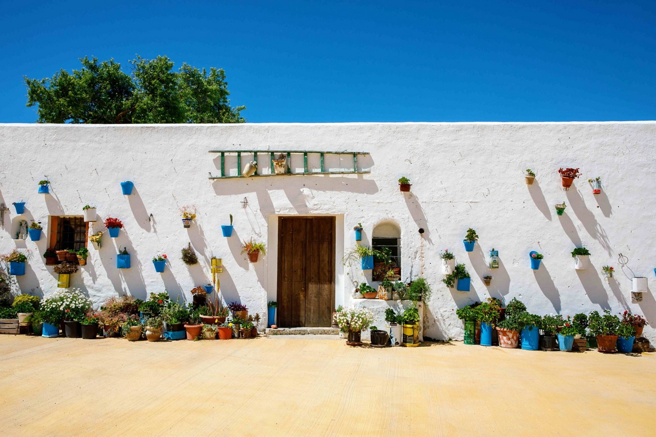 Province of Cadiz: A white-washed wall of a bungalow with blue flowerpots on its facade