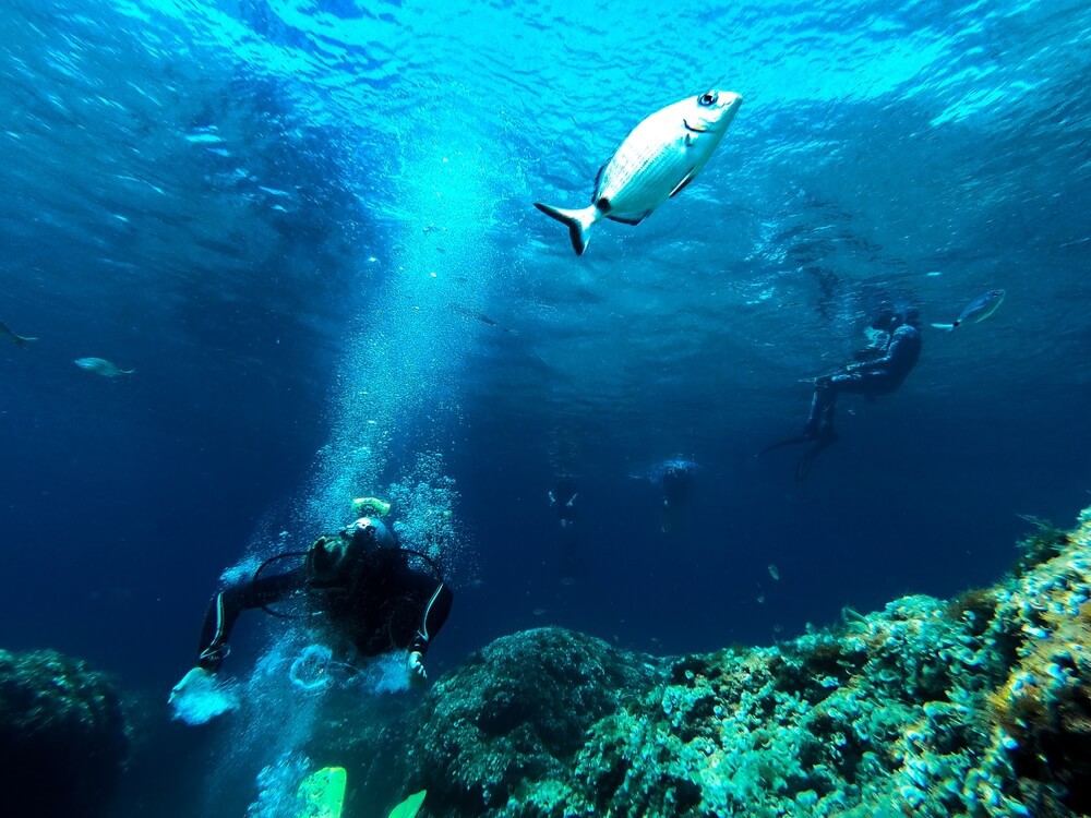 Scuba diving in Mallorca: Person scuba diving between rocks with fishes