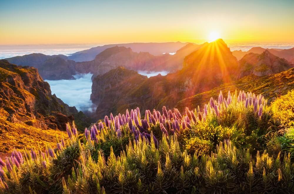 Madeira schönste Orte: Aussicht vom Pico do Arieiro in der Dämmerung.