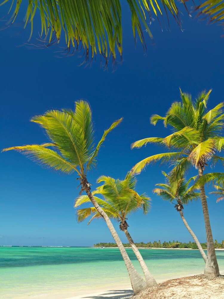 Punta Cana: Bavaro Beach’s white sand and blue sea framed by palms