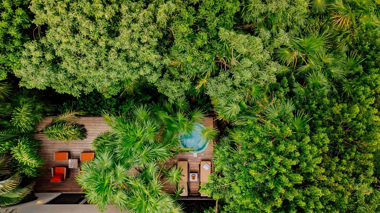 Barceló Coconut Island: A natural building surrounded by palm trees in front of a pool